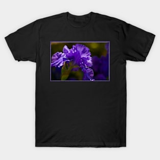 Purple Gladioli T-Shirt